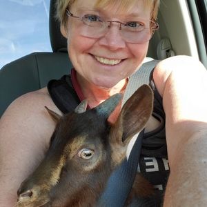 Meet your Posher, Dawn